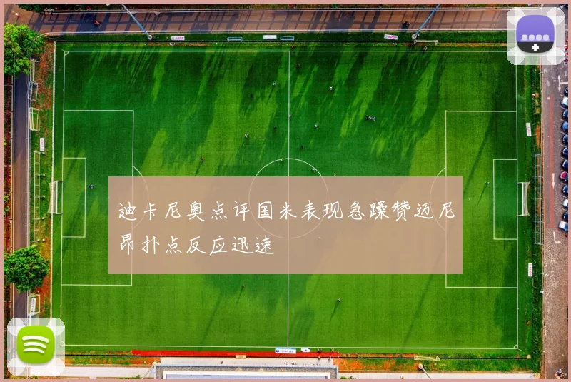 迪卡尼奥点评国米表现急躁赞迈尼昂扑点反应迅速