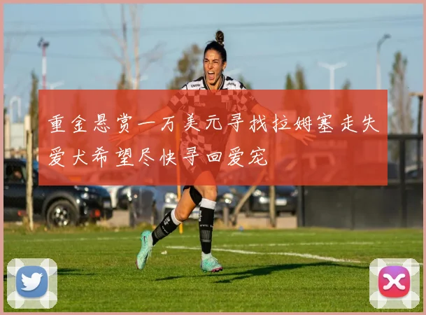重金悬赏一万美元寻找拉姆塞走失爱犬希望尽快寻回爱宠